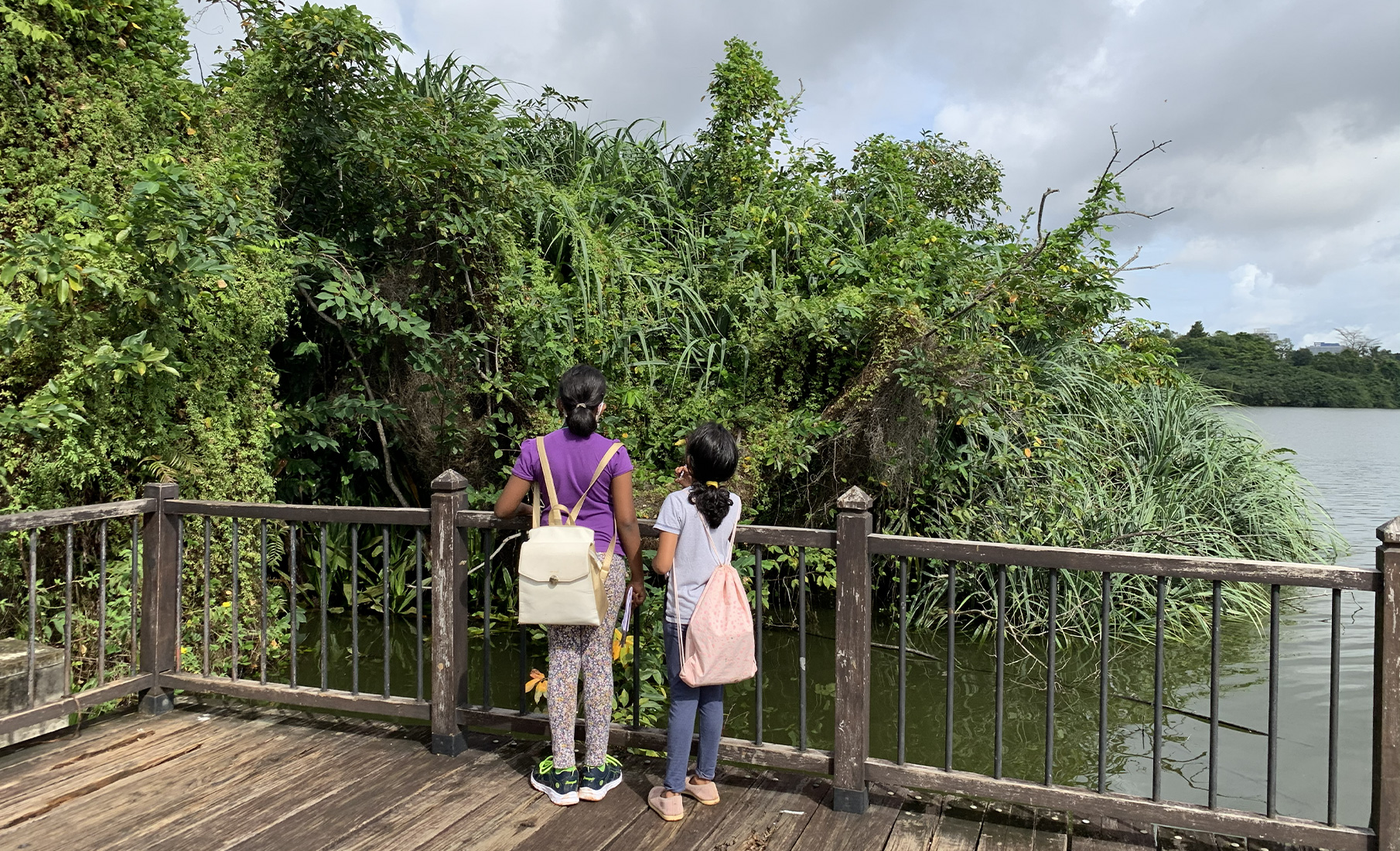 Nature’s Playground: Why Your Next Family Trip Should Be to a Wetland