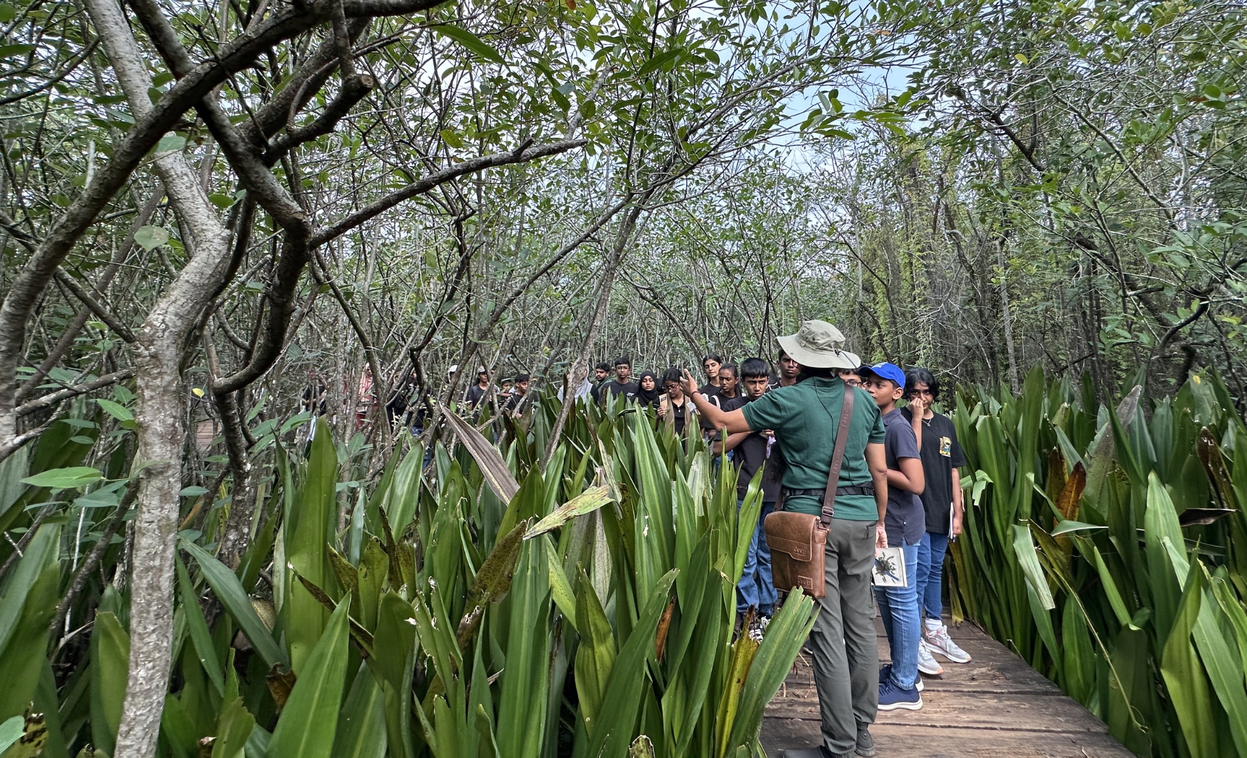 Discovering the Wild Side of Colombo: How Beddagana Wetland Park Changed My Perspective
